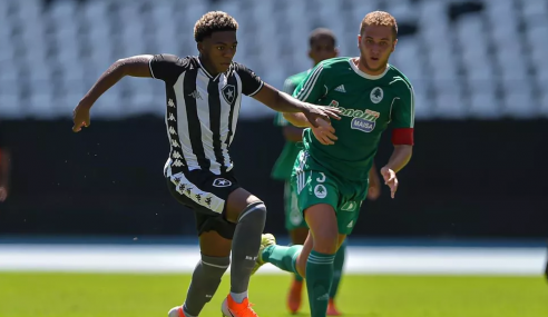 Botafogo negocia joia com o Palmeiras e fica com percentual